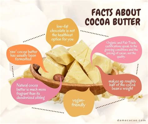 What is the chemical composition of cocoa butter? And why does it make chocolate so irresistibly smooth?